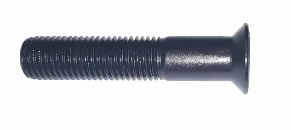 Produit VIS TF 16X80 Image